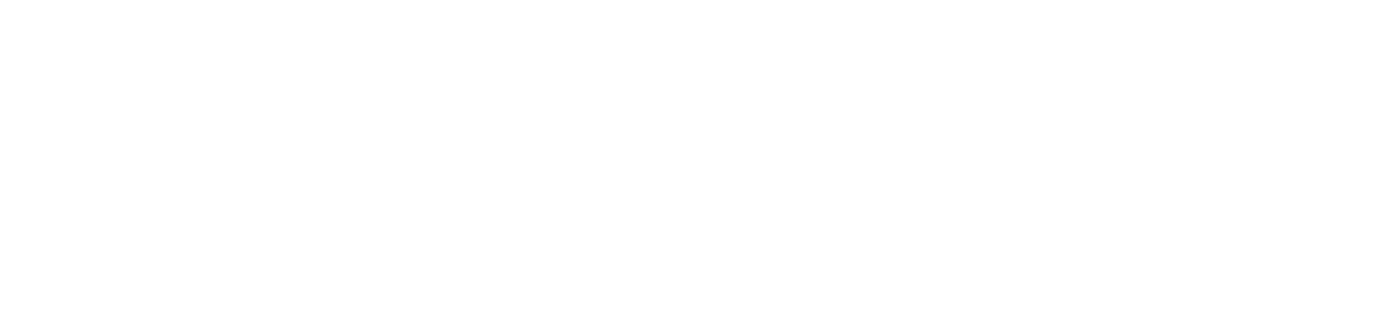 Fleis & VandenBrink